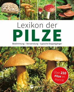 Lexikon der Pilze: Bestimmung, Verwendung, typische Doppelgänger (eBook, ePUB) - Kothe, Hans W.