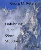 Einführung in Ihr Oberstübchen (eBook, ePUB)