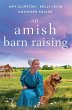 An Amish Barn Raising - Bild 1