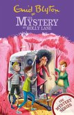 The Mystery of Holly Lane (eBook, ePUB)