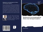 Molekulare und physiologische Rollen des Östrogenrezeptors