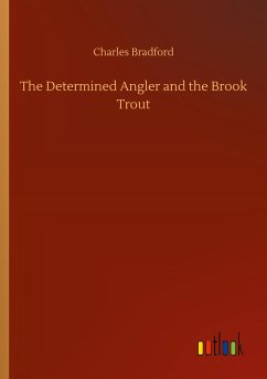 The Determined Angler and the Brook Trout - Bradford, Charles