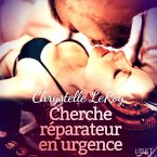 Cherche réparateur en urgence – Une nouvelle érotique (MP3-Download)