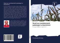 Cover Studi sui cambiamenti patologici e biochimici