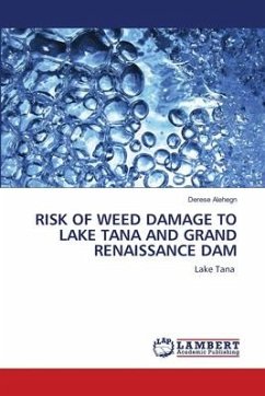 RISK OF WEED DAMAGE TO LAKE TANA AND GRAND RENAISSANCE DAM - Alehegn, Derese