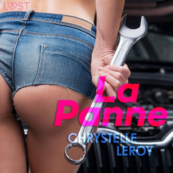 La Panne - Une nouvelle érotique (MP3-Download)