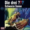 Folge 151: Die drei ?? und die Schwarze... - Bild 1