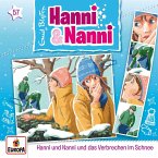 Folge 57: Hanni und Nanni und das Verbrechen im Schnee (MP3-Download)
