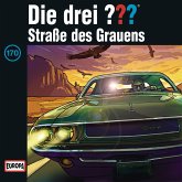 Folge 170: Straße des Grauens (MP3-Download)