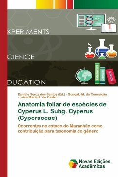 Anatomia foliar de espécies de Cyperus L. Subg. Cyperus (Cyperaceae) - da Conceição, Gonçalo M.;R. de Castro, Laísa Maria