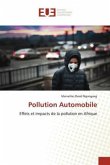 Pollution Automobile Pollution Automobile
