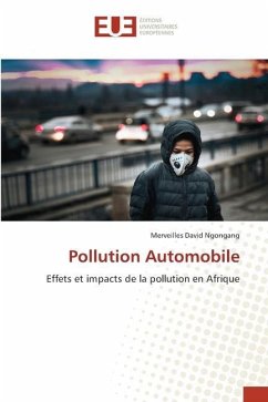Pollution Automobile - Ngongang, Merveilles David