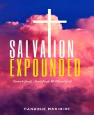 Salvation Expounded (eBook, ePUB)