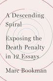 A Descending Spiral (eBook, ePUB)