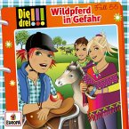 Fall 55: Wildpferd in Gefahr (MP3-Download)