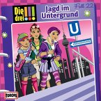 Fall 22: Jagd im Untergrund (MP3-Download)