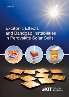 Excitonic Effects and Bandgap Instabilities in Perovskite Solar Cells