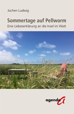 Sommertage auf Pellworm - Ludwig, Jochen