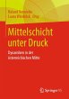 Mittelschicht unter Druck - Bild 1