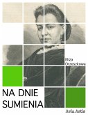 Na dnie sumienia (eBook, ePUB)