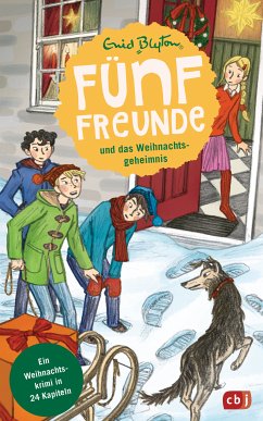 Fünf Freunde und das Weihnachtsgeheimnis (eBook, ePUB) - Blyton, Enid