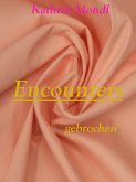 Encounters (eBook, ePUB)