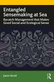Entangled Sensemaking at Sea (eBook, PDF)