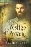 Vestige of Power (Vestige in Time, #1) (eBook, ePUB)