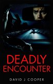 Deadly Encounter (eBook, ePUB)