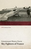 Sky Fighters of France (WWI Centenary Series) (eBook, ePUB)
