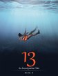 13 - Bild 1