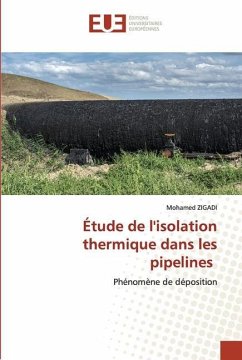 Étude de l'isolation thermique dans les pipelines