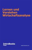 Lernen und Verstehen Wirtschaftsanalyse (eBook, ePUB)