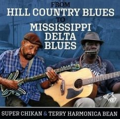 Cover From Hill Country Blues To Mississippi Delta Blues
