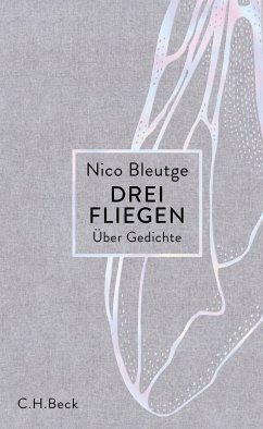 Drei Fliegen (eBook, ePUB) - Bleutge, Nico