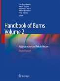 Handbook of Burns Volume 2 (eBook, PDF)