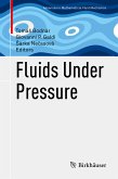 Fluids Under Pressure (eBook, PDF)