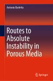 Routes to Absolute Instability in Porous Media (eBook, PDF)