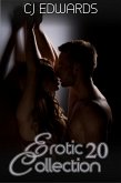 Erotic Collection 20 (eBook, ePUB)