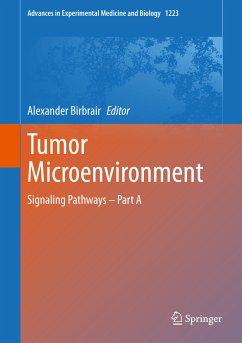 Tumor Microenvironment (eBook, PDF)