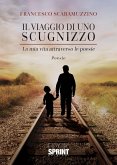 Il viaggio di uno scugnizzo (eBook, ePUB)