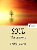 Soul (eBook, ePUB)