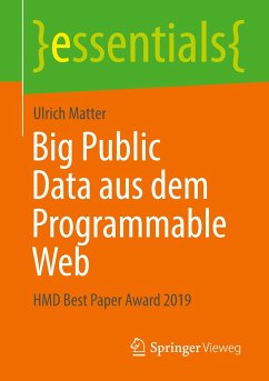 Big Public Data aus dem Programmable Web - Matter, Ulrich