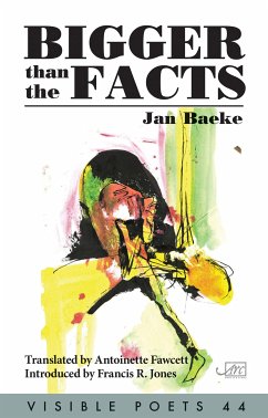 Bigger than the Facts (eBook, ePUB) - Baeke, Jan