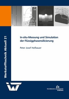 In-situ-Messung und Simulation der Flüssigphasensilicierung - Hofbauer, Peter Josef