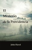 El misterio de la Providencia (eBook, ePUB)