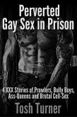 Perverted Gay Sex in Prison: 4 XXX Stories of Prowlers, Bully Boys, Ass-Queens and Brutal Cell-Sex (eBook, ePUB) Perverted Gay Sex in Prison: 4 XXX Stories of Prowlers, Bully Boys, Ass-Queens and Brutal Cell-Sex (eBook, ePUB)