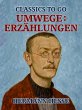 Umwege: Erzählungen (eBook, ePUB) - Bild 1