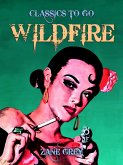 Wildfire (eBook, ePUB)