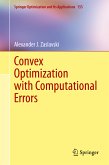 Convex Optimization with Computational Errors (eBook, PDF)